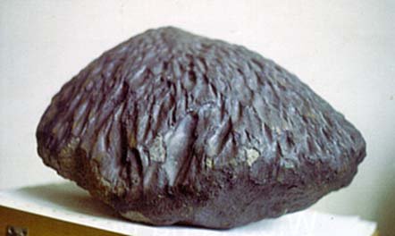 Meteoryt kamienny BASZKÓWKA - chondryt zwyczajny L5. W słoneczne popołudnie 25 sierpnia 1994 r. usłyszano głośny świst, po czym spadł z nieba jeden kamień.