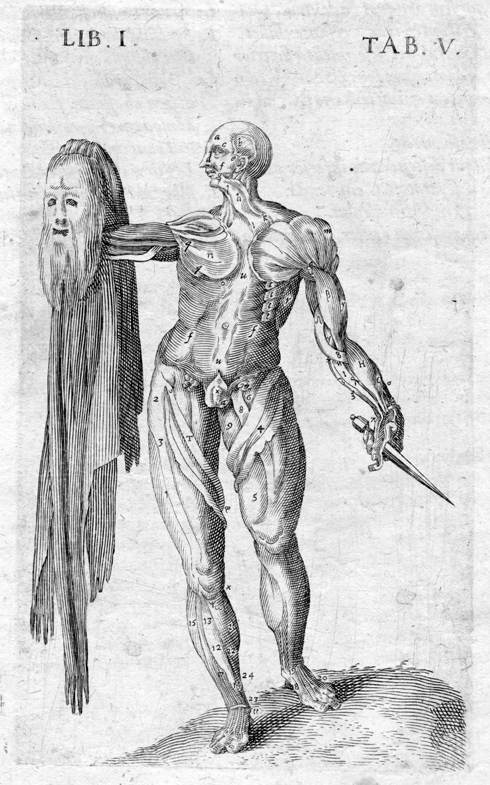 Przedstawienie anatomiczne, tzw. e'corche' - modela trzymającego własną skórę, miedzioryt z druku: Bauhin Caspar, Vivae imagines partium corporis humani aeneis formis expressae &ex theatro anatomico..., 1620